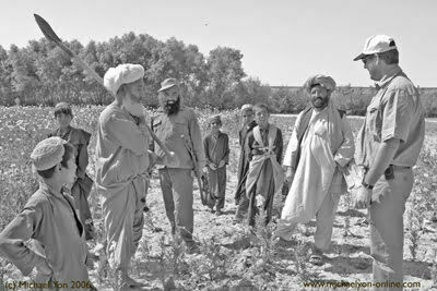 Another poppy farm. At a glance it appeared we had found Osama bin Laden farming in Lashkar Gah.