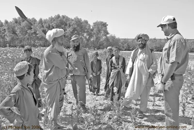 Another poppy farm. At a glance it appeared we had found Osama bin Laden farming in Lashkar Gah. Another poppy farm. At a glance it appeared we had found Osama bin Laden farming in Lashkar Gah.