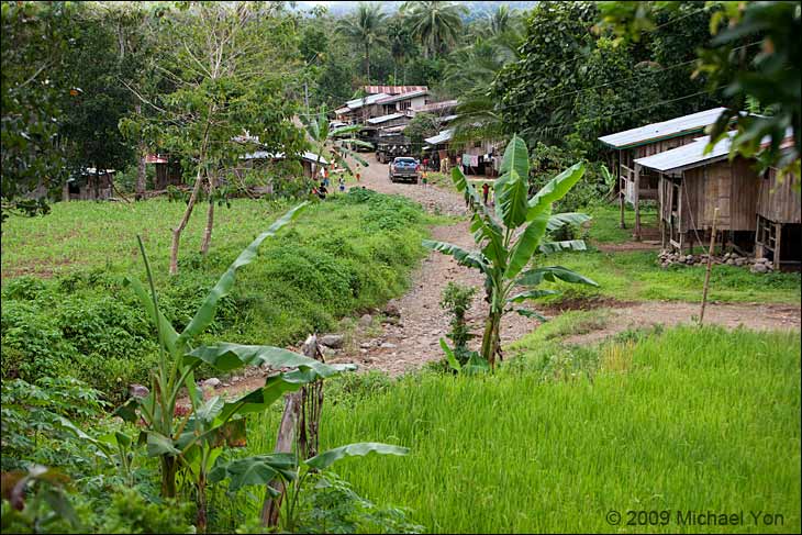 Green of the village. This island can grow bananas because it rarely gets hit by typhoons, which flatten banana trees on many of the other islands.