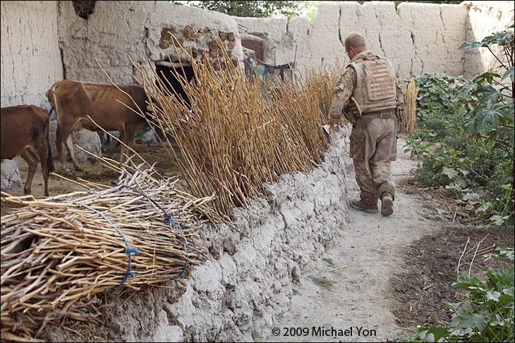 The brown splotches on the wall (upper-center) are manure that is dried and used for cooking.