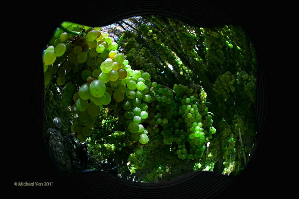 2011-09-11-052201cc1000