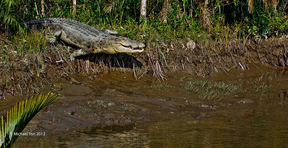 2012-02-07-7525cc-1000