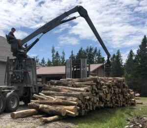 Germany and other countries appear to be deforesting Europe faster than the rainforests ever were. The Greens are raping European ecosystems for wood that will hardly burn and when it does so, with great pollution